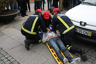 Número de atropelamentos duplicou