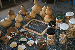 Agricultores prometem lutar contra a lei europeia das sementes