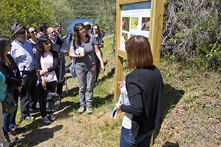 43 espécies de borboletas no Azibo