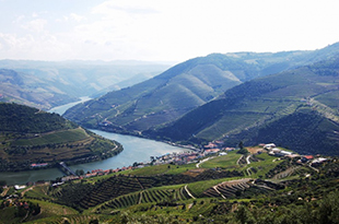 UNESCO aprova barragem de Foz Tua