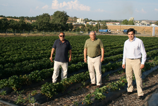 Sortegel escoa produções aos agricultores
