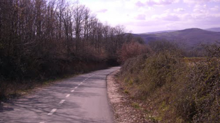 Idoso morre atropelado em Sabariz