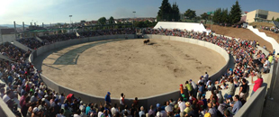 Criadores aplaudem Centro de Valorização de Raças Autóctones