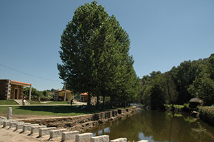 Mais de 1 milhão de euros para Vimioso