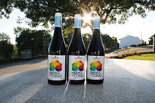 Cooperativa de Sendim lança vinho biológico