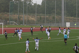 Mirandela perdulário