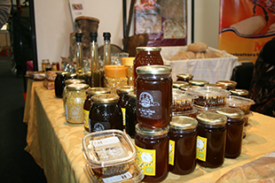 Vespas asiáticas ameaçam apiários