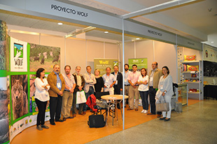 Europa unida na protecção do lobo