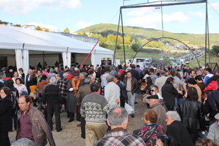 “A melhor Rural Castanea de sempre”