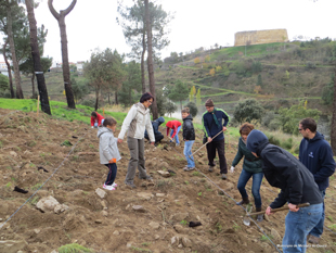 “Florestar Miranda”