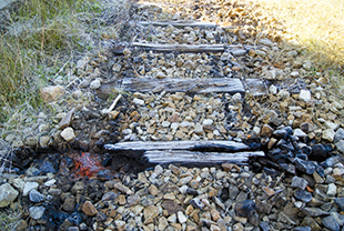 Linha do Tua volta a ser assaltada