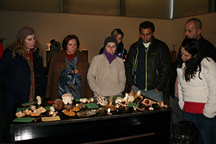 Cogumelos cultivados em casa