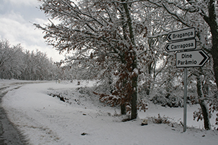 Transportes urbanos não saíram para as aldeias