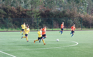 Lesões condicionam brigantinos