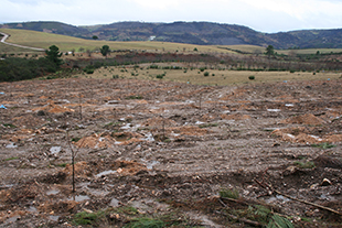 A febre do ouro transmontano