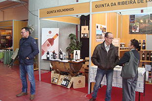 Vila Flor aposta nas amendoeiras em flor