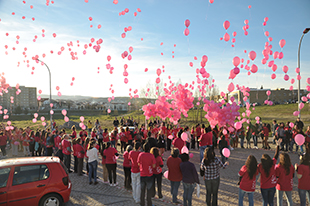 Núcleo da Liga Contra o Cancro passa a delegação