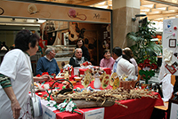 40 idosos apoiados em Bragança