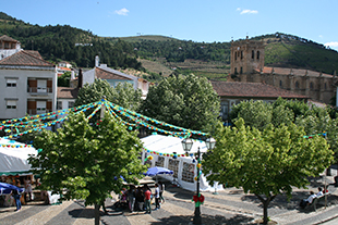 Rei dos Floristas homenageado na sua terra natal