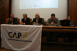 Pequenos produtores vão receber no mínimo de 500 euros