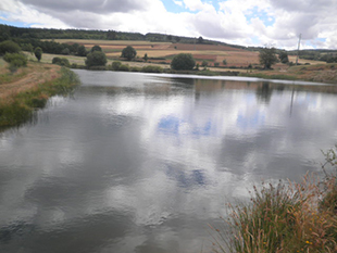 Câmara de Bragança reivindica barragens de regadio