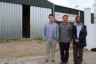 Chineses querem comercializar castanha da região para a Europa