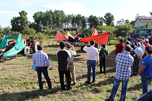 Mecanização é alternativa à falta de mão-de-obra