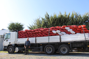 20 toneladas de castanha roubadas em Oleiros