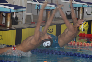 Gualdim Pais e FC Ferreiras triunfam em Bragança