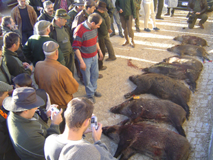 Municípios querem valorizar a caça e a pesca