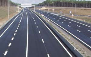 Vaca provoca acidente