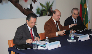 Protocolo evita deslocações de doentes oncológicos