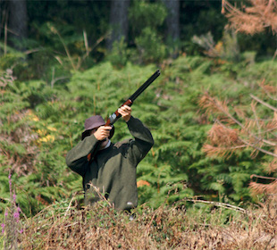 Exames para obtenção de carta de caçador passam para Vila Real