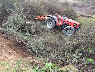 Idoso morre em acidente de tractor em Santulhão