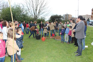 Habitantes adoptam árvores de fruto