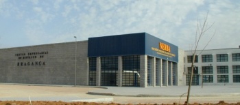 Megajulgamento cartasde condução adiado