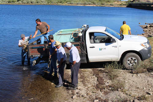 Pescadores de Montesinho esperaram 2 anos por repovoamento de trutas