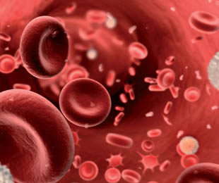 Hipocoagulação oral