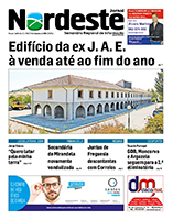 Edição PDF 982