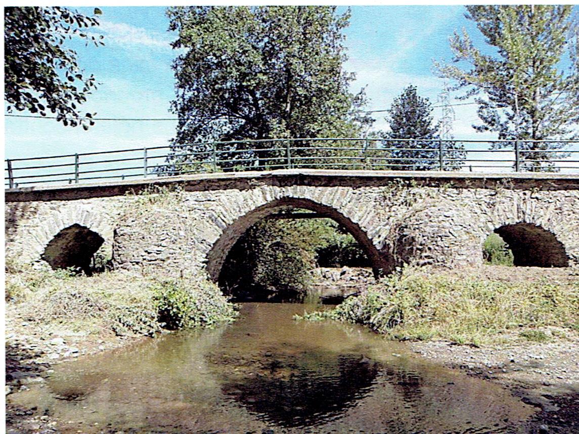 Castro de Avelãs em livro