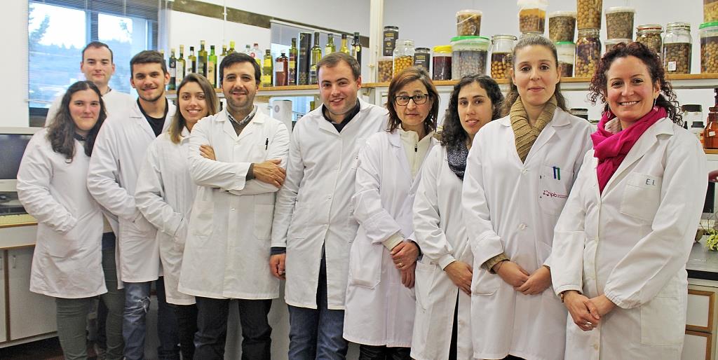 Primeiro painel de provadores de azeitona do país está a desenvolver-se em Bragança