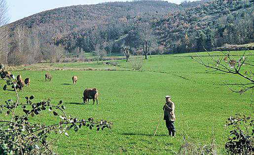 Agricultores transmontanos vão discutir gestão das áreas protegidas com Secretária de Estado
