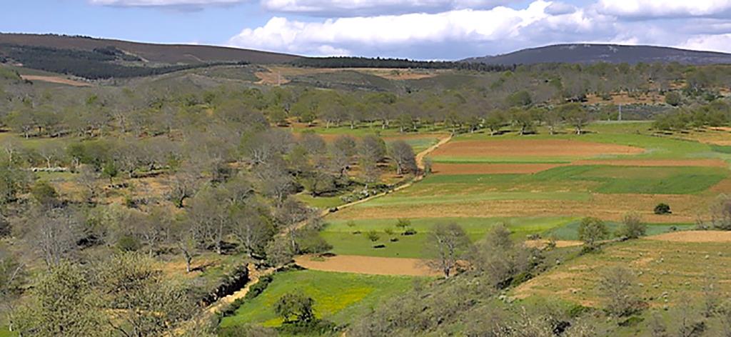 Secretária de Estado do Ordenamento do Território prometeu visitar Parque Natural de Montesinho