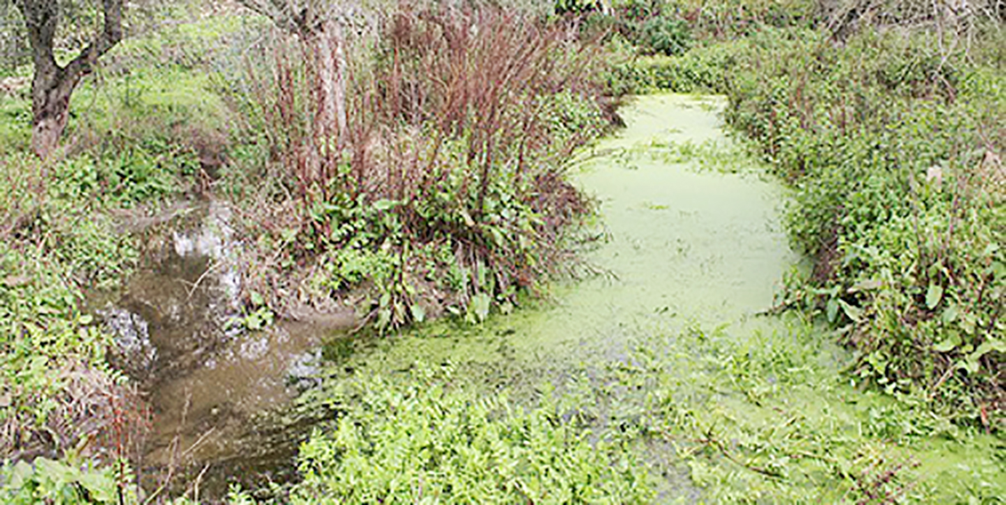 Agricultores de Torre de Moncorvo processam Estado
