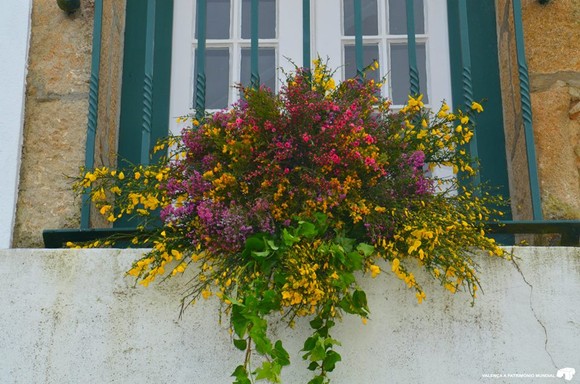 Mês de maio, mês das flores, mês de Maria, mês dos amores