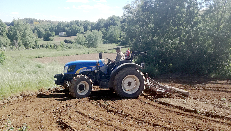 Os “escritórios” da terra