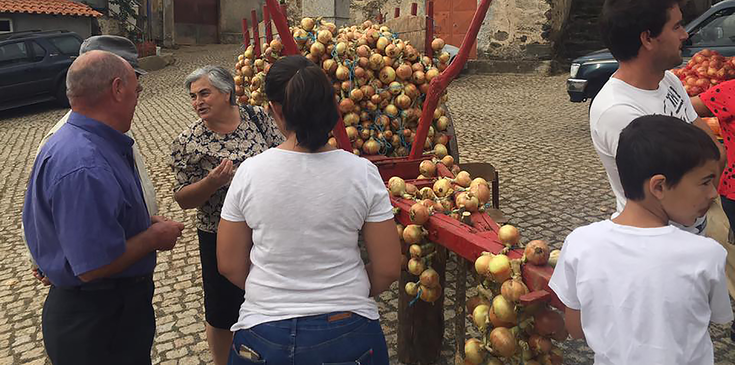 Cebola: comer e chorar por mais!