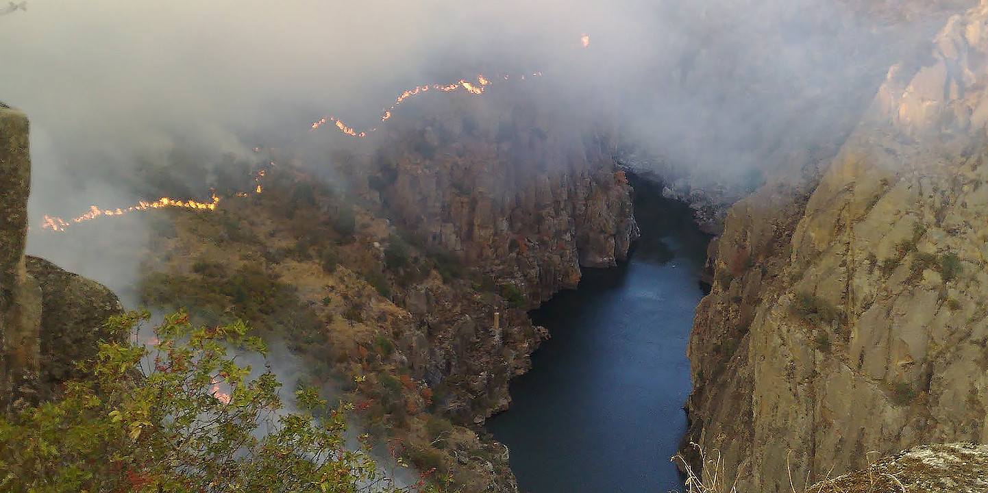 Paisagem do Parque Natural do Douro Internacional arrasada pelas chamas