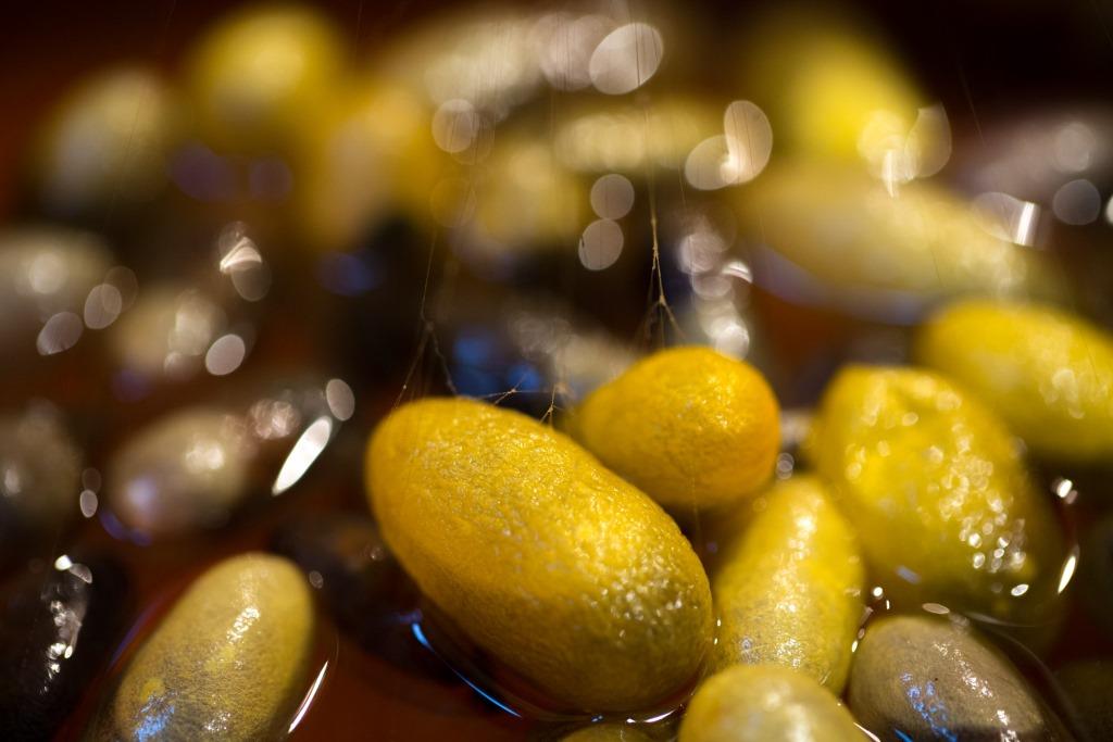 Artesãos de Freixo criam sabonete de seda