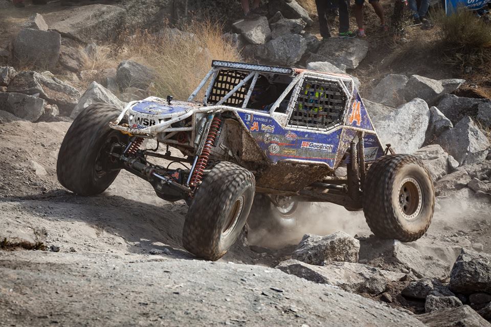 King of Portugal 2018 traz novidades